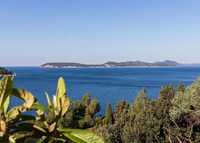 Lovro - One Bedroom With Terrace And Sea View 2 *